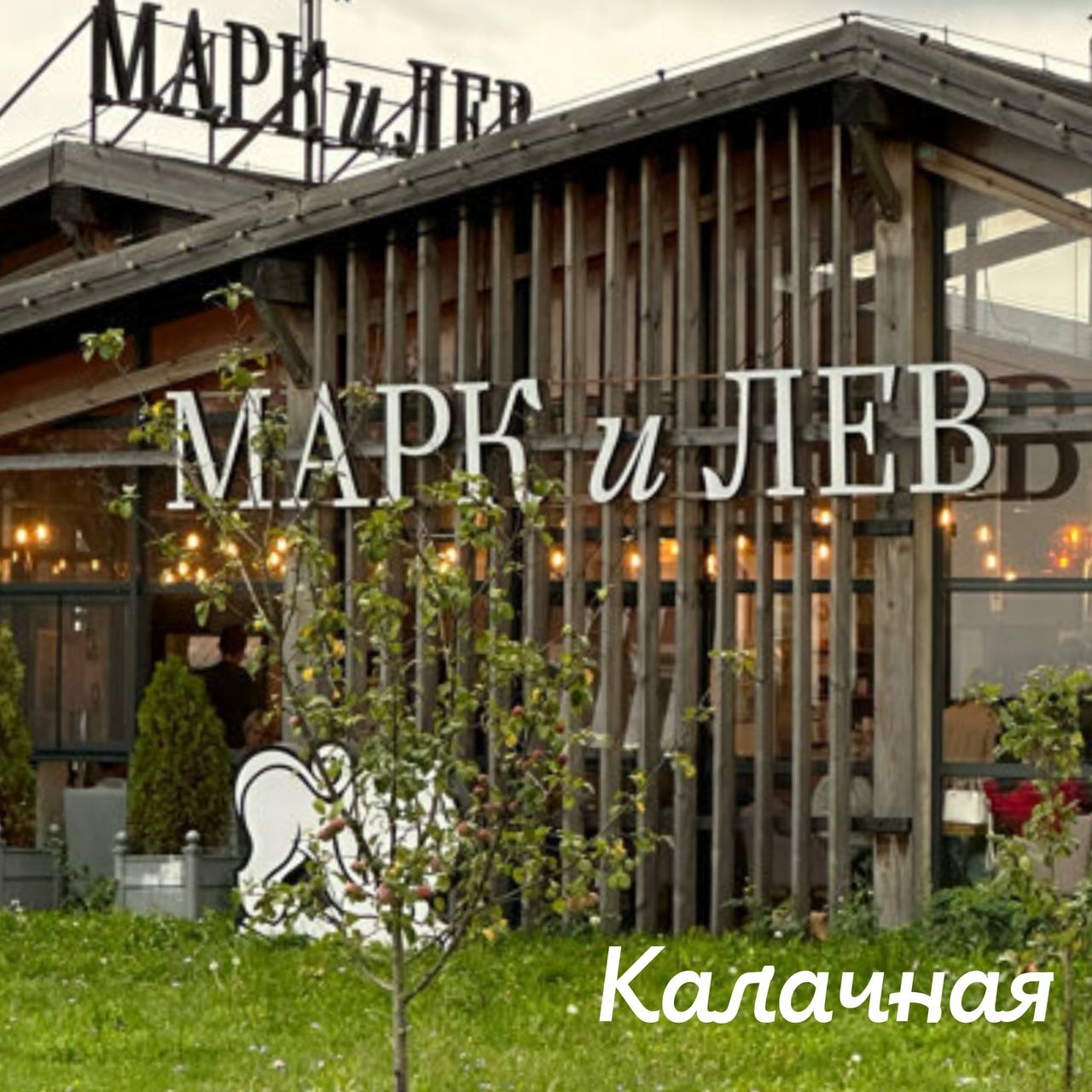 Портрет человека